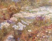 The Winter Garden - 施尔德·哈森